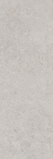 Настенная плитка Kerama Marazzi Риккарди серый светлый 40x120 см ректификат 14053R