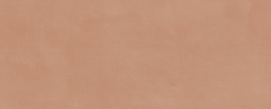 Настенная плитка Kerama Marazzi Каннареджо оранжевый 20x50 см 7254