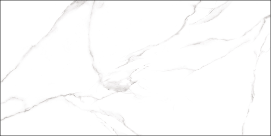 Керамогранит Alma Ceramica Carrara 60x120 см ректификат GFU60120CRR00R