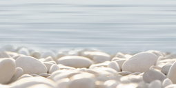 Декор Alma Ceramica Дель Мар 24,9x50 см DWU09DLM604