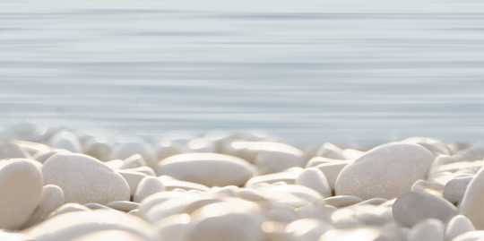 Декор Alma Ceramica Дель Мар 24,9x50 см DWU09DLM604