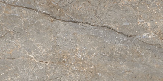 Керамогранит Casaticeramica Astona Silver Glister Carving 60x120 см блестящий карвинг