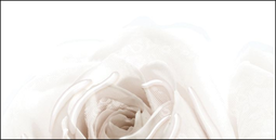 Декор Belleza Нежность 1 бежевый 50х25 см