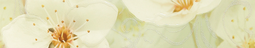 Бордюр Unitile Сакура зеленый 01 7,5х40 см