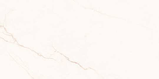 Керамогранит Global Tile Амалия Светло-бежевый 50x100 см GT5010027007MR