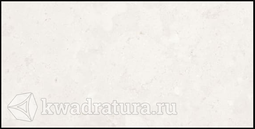 Керамогранит Lasselsberger Ниагара светло-серый 30х60 см