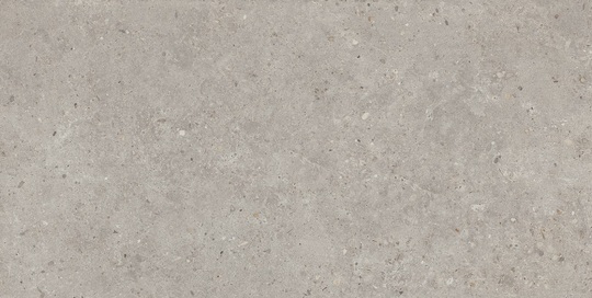 Керамогранит Kerama Marazzi Риккарди серый светлый 60х119,5 см ректификат SG519920R