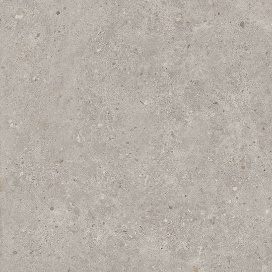 Керамогранит Kerama Marazzi Риккарди серый светлый 60х60 см ректификат SG653720R