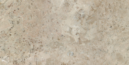 Настенная плитка Terracotta Raimond Dark 20x40 см