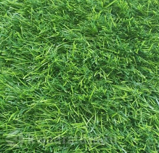 Искусственная трава ландшафтная Pretty Grass 35